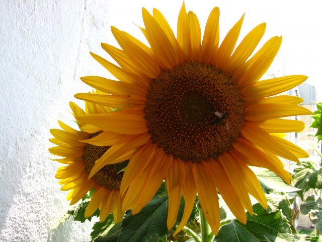 IMG_0469.jpg, 732 KB